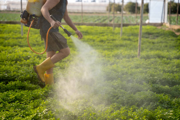 Best Affordable Pest Control Services  in Fobes Hill, WA