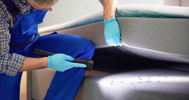 Best Exterminator Services  in Fobes Hill, WA