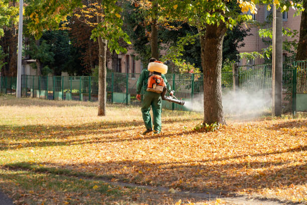 Best Rodent Control Near Me  in Fobes Hill, WA