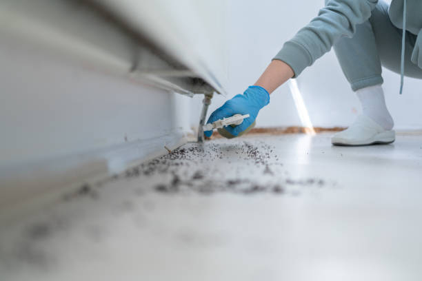 Best Pest Control Near Me  in Fobes Hill, WA